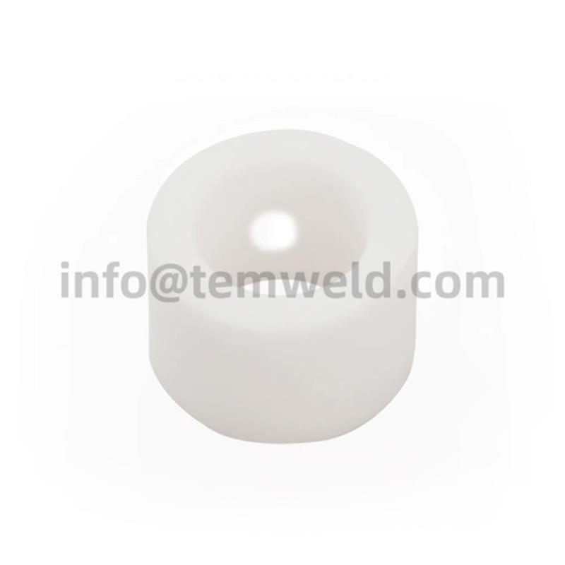 PT31 Swirl Ring Gas Diffuser 